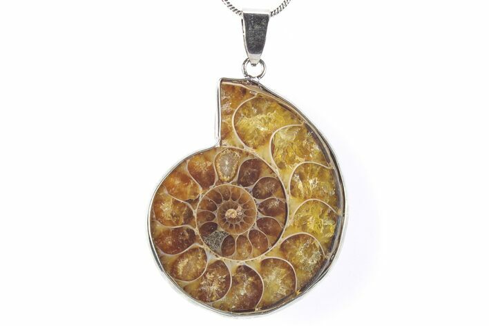 Fossil Ammonite Pendant - Million Years Old #290176